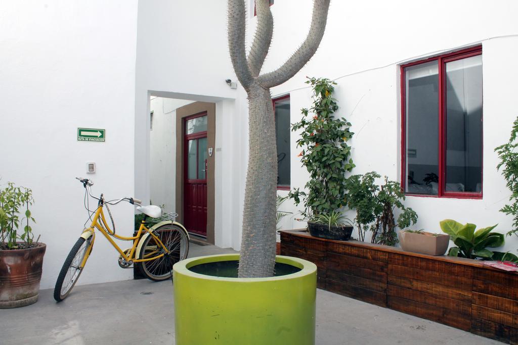 Kuku Ruku Hotel Querétaro Exteriör bild